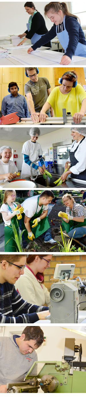 Die verschiedenen Fachbereiche auf einen Blick