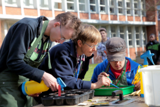 Teaserbild für Berufsvorbereitung für Schüler_innen mit speziellem Förderbedarf