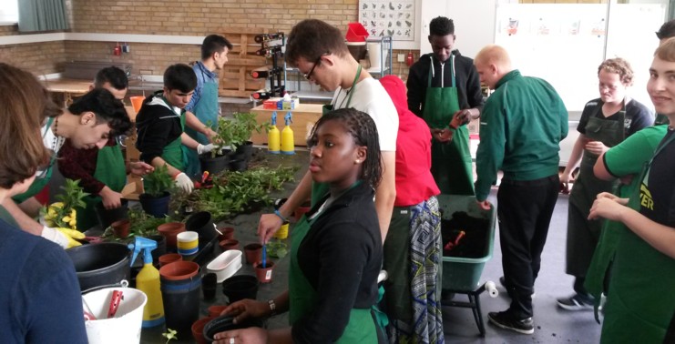 Die Schüler_innen der beiden Klassen beim inklusiven Lernen im Gartenbauunterricht der zwei Klassen